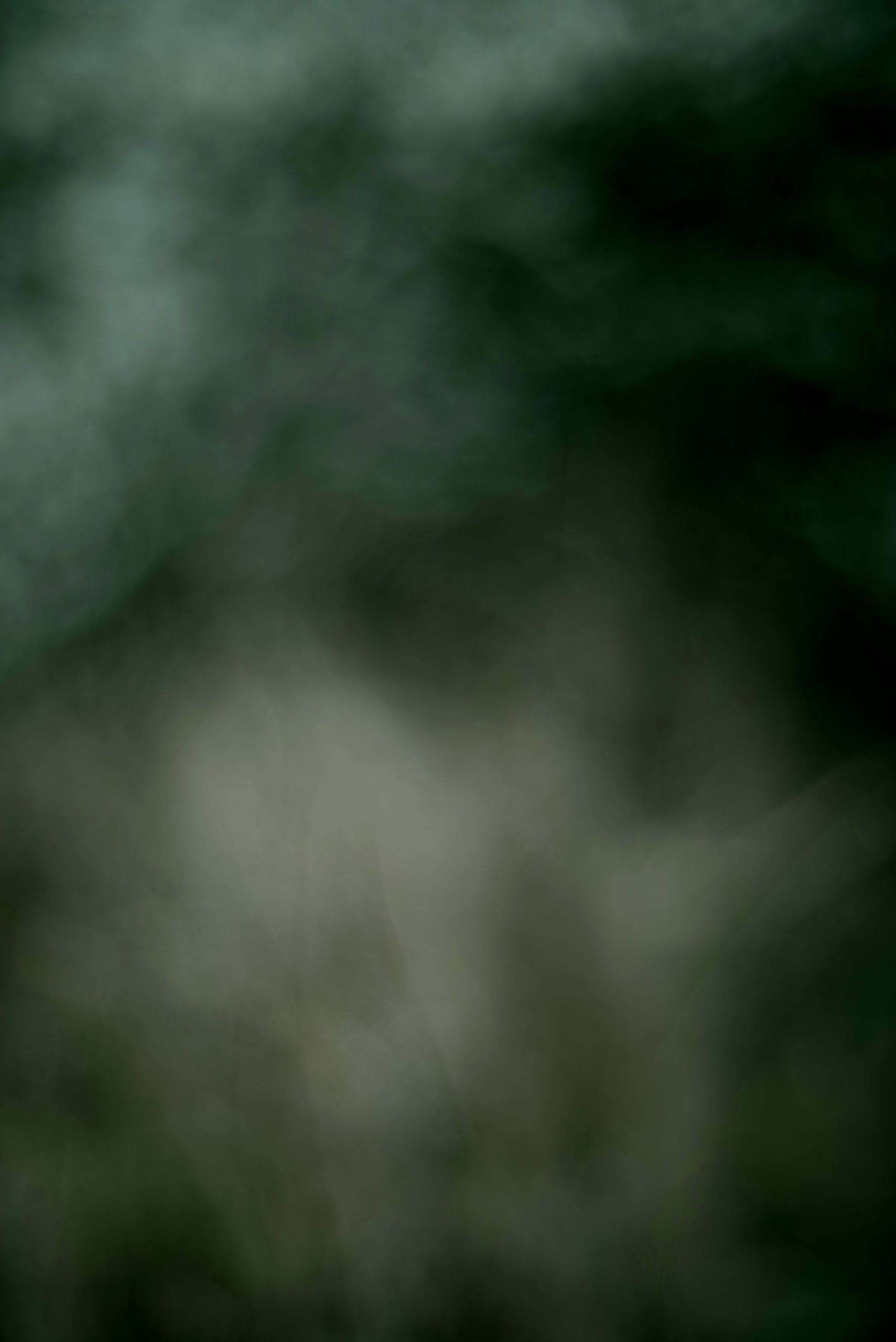 Abstrakt experimentelle Naturfotografie, dunkel