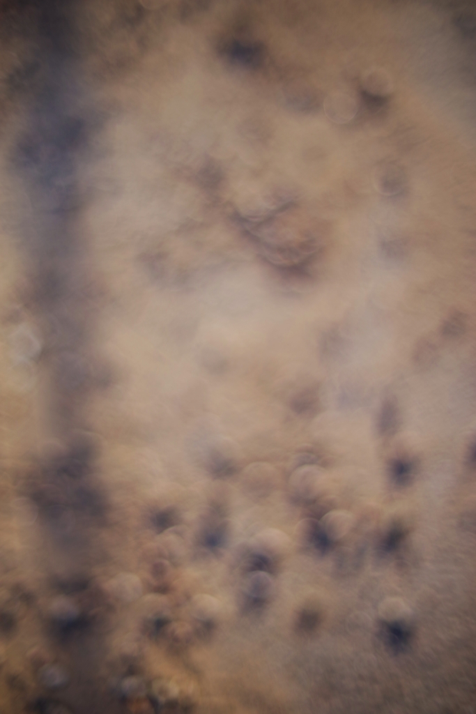 Erde, Sand, unscharf