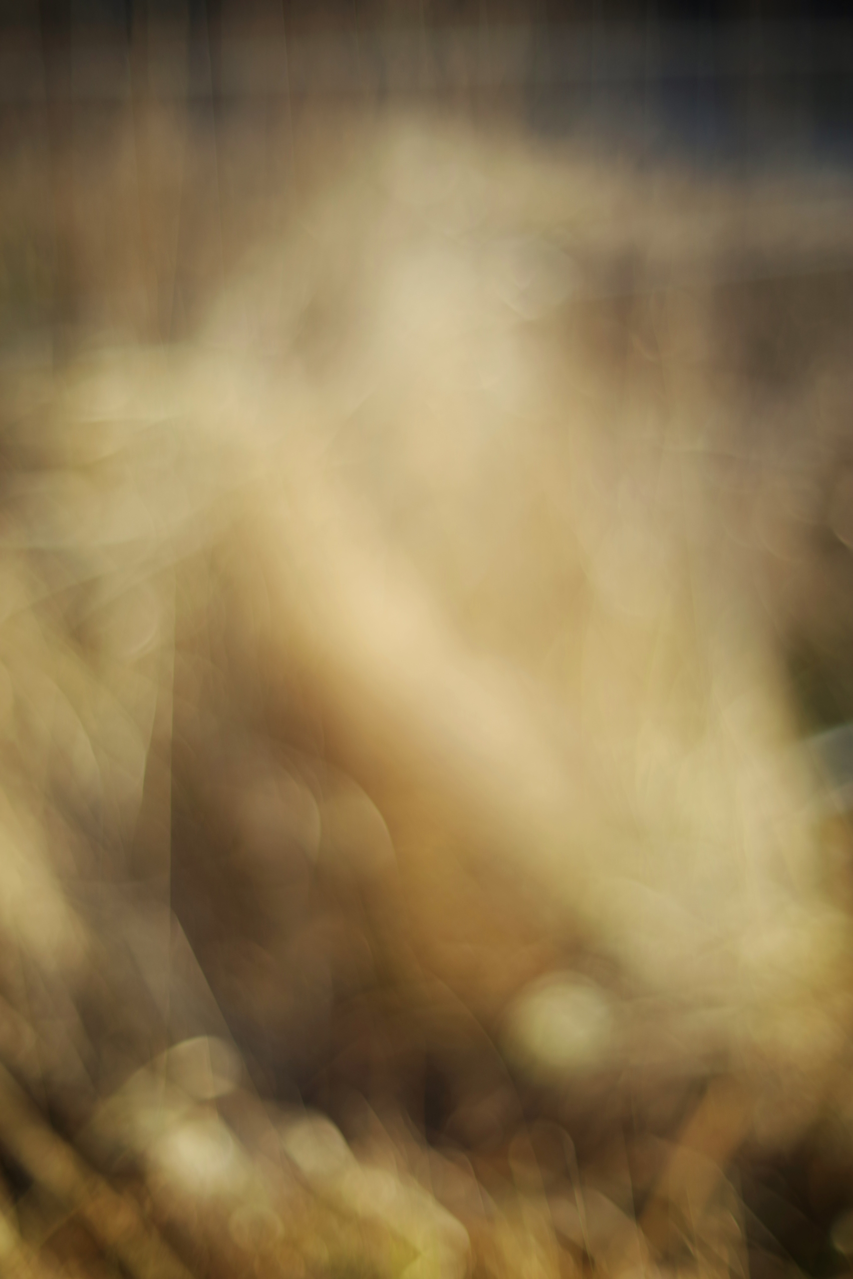 Flammen, Natur, gelb abstrakt, Lichtspiele