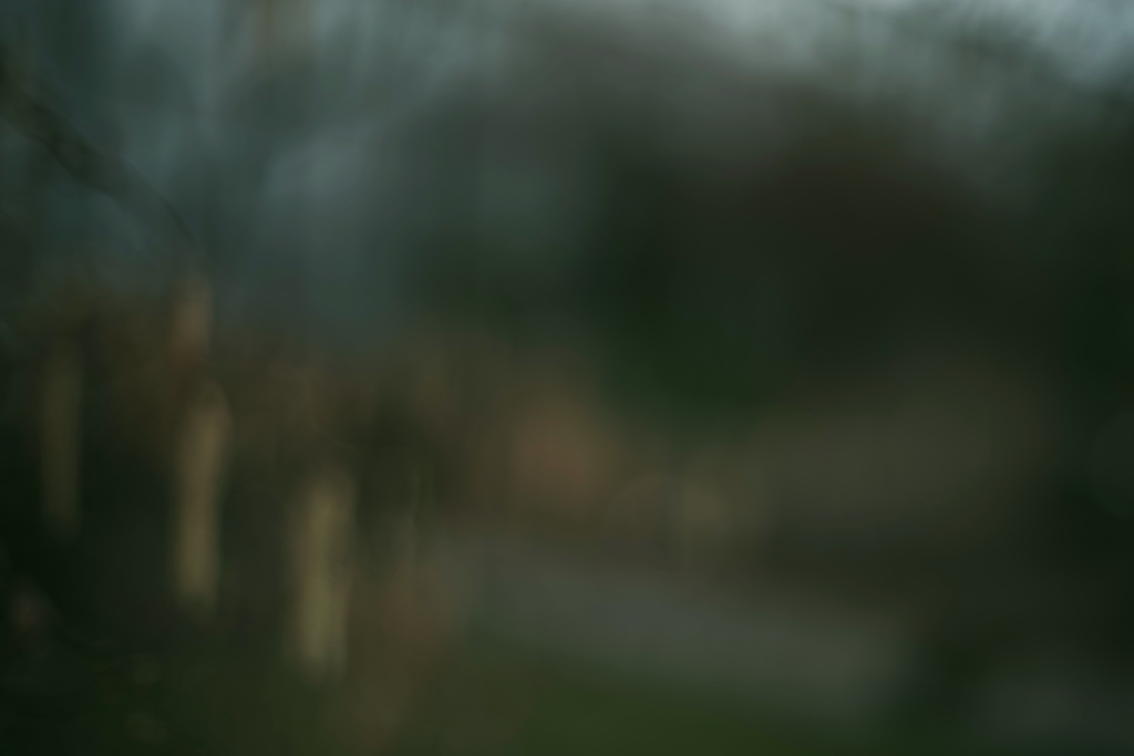 Abstrakt, unscharf, Landschaft, experimentelle Kunstfotografie Bäume