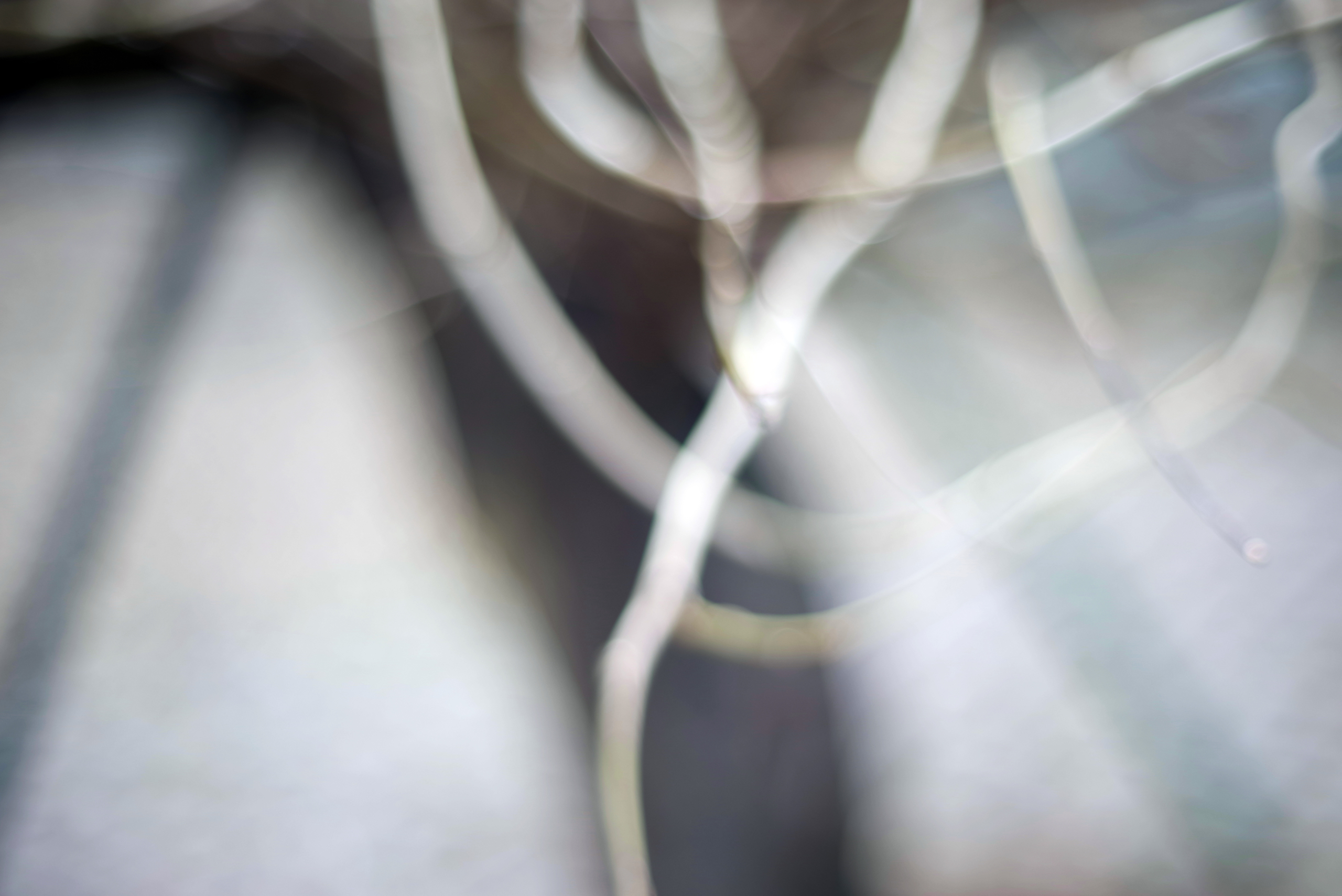 Lichter experimentelle Naturfotografie Fotografie Zweige Licht