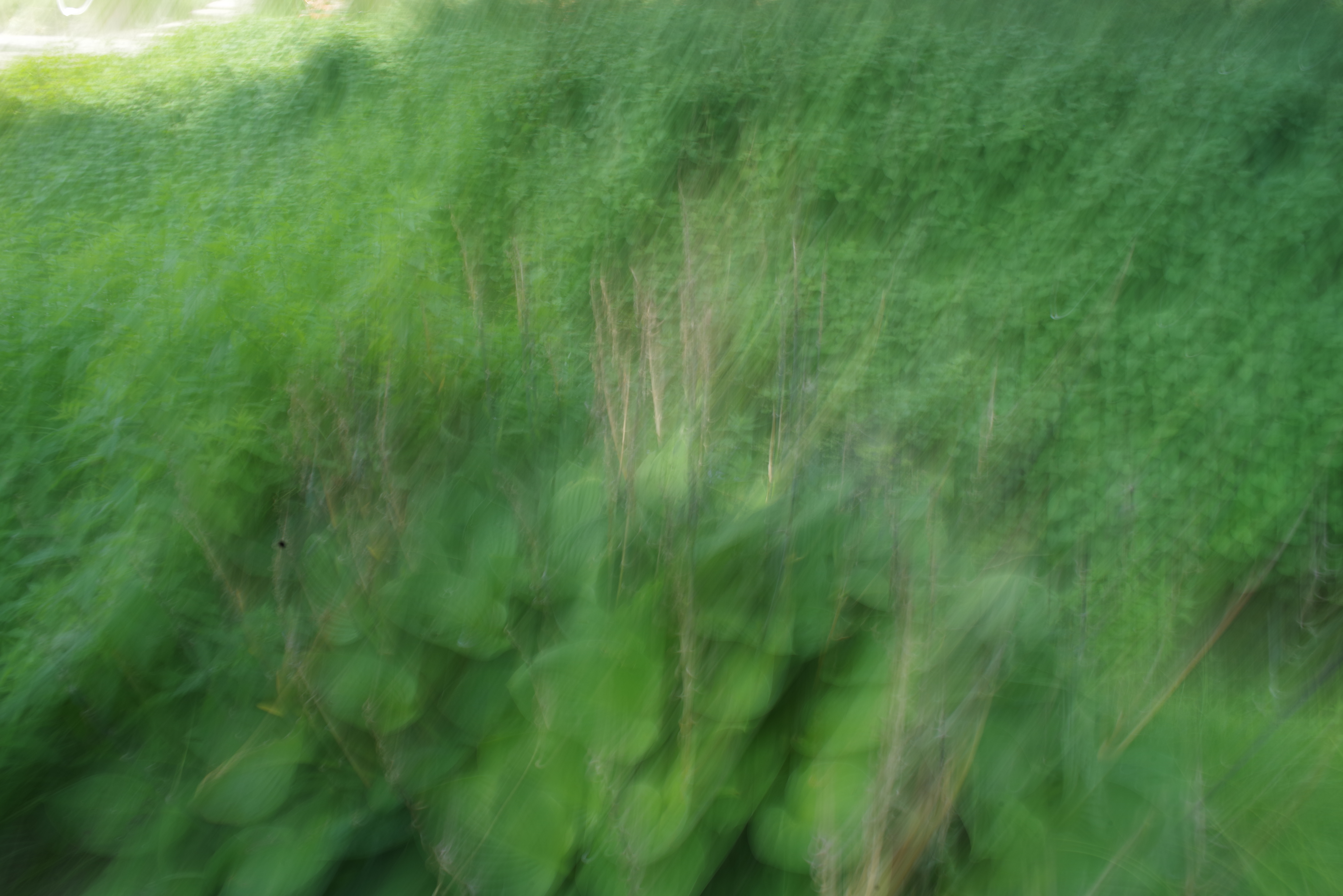 Experimentelle Fotografie Technik Forschung Kunst